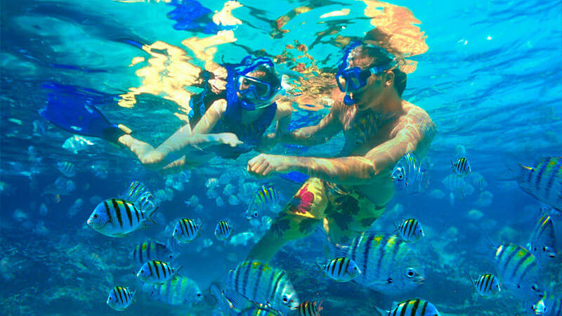 Una pareja disfruta del fascinante mundo submarino mientras practican snorkel juntos, rodeados de peces coloridos y la maravillosa vida marina que les rodea.